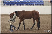 4H-State-Show-2005-1115.jpg