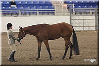 4H-State-Show-2005-1116.jpg