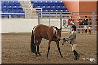 4H-State-Show-2005-1117.jpg