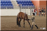 4H-State-Show-2005-1118.jpg