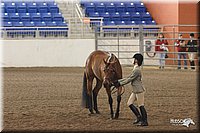 4H-State-Show-2005-1119.jpg