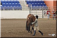 4H-State-Show-2005-1120.jpg