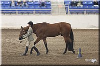 4H-State-Show-2005-1122.jpg