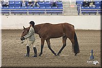 4H-State-Show-2005-1123.jpg