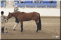 4H-State-Show-2005-1125.jpg