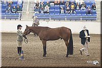 4H-State-Show-2005-1126.jpg