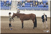 4H-State-Show-2005-1127.jpg