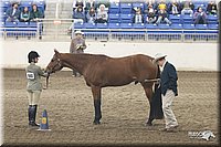 4H-State-Show-2005-1128.jpg