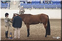 4H-State-Show-2005-1129.jpg