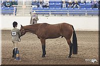 4H-State-Show-2005-1130.jpg