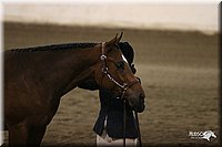 4H-State-Show-2005-1136.jpg