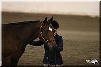 4H-State-Show-2005-1137.jpg