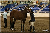 4H-State-Show-2005-1138.jpg