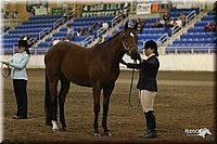 4H-State-Show-2005-1139.jpg