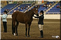 4H-State-Show-2005-1140.jpg