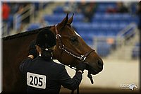 4H-State-Show-2005-1142.jpg