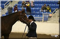 4H-State-Show-2005-1143.jpg