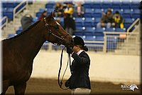 4H-State-Show-2005-1144.jpg