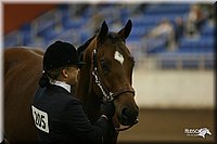 4H-State-Show-2005-1145.jpg