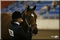 4H-State-Show-2005-1146.jpg