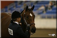 4H-State-Show-2005-1147.jpg