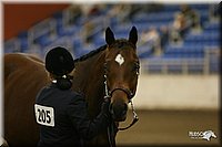 4H-State-Show-2005-1148.jpg