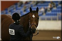 4H-State-Show-2005-1149.jpg