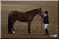 4H-State-Show-2005-1151.jpg