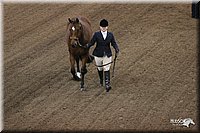 4H-State-Show-2005-1152.jpg