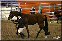 4H-State-Show-2005-1165.jpg