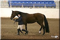 4H-State-Show-2005-1168.jpg