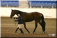 4H-State-Show-2005-1170.jpg