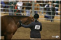 4H-State-Show-2005-1172.jpg