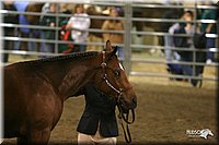 4H-State-Show-2005-1173.jpg