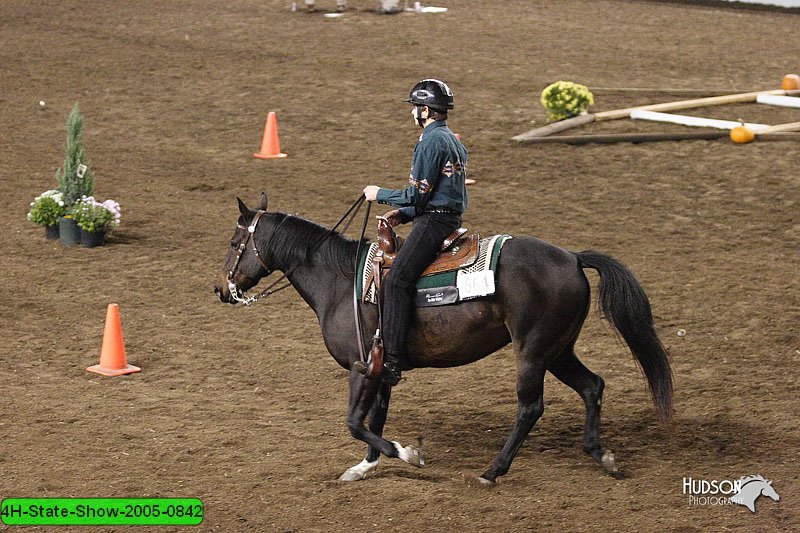 4H-State-Show-2005-0842.jpg