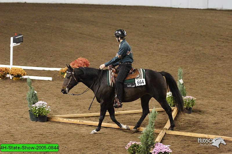 4H-State-Show-2005-0844.jpg