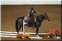 4H-State-Show-2005-0846.jpg