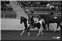 4H-State-Show-2005-0577.jpg