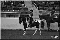 4H-State-Show-2005-0578.jpg