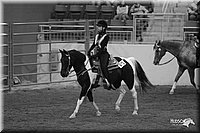 4H-State-Show-2005-0582.jpg