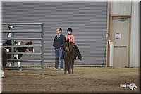 4H-State-Show-2005-0679.jpg