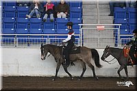 4H-State-Show-2005-0704.jpg