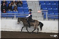 4H-State-Show-2005-0711.jpg