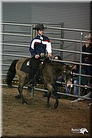 4H-State-Show-2005-0716.jpg