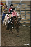 4H-State-Show-2005-0722.jpg