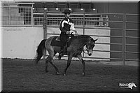 4H-State-Show-2005-0730.jpg