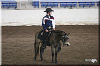 4H-State-Show-2005-0742.jpg