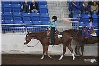 4H-State-Show-2005-0753.jpg