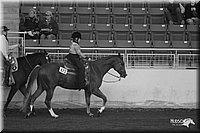 4H-State-Show-2005-0767.jpg