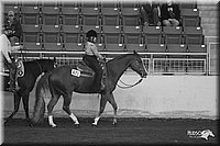 4H-State-Show-2005-0768.jpg